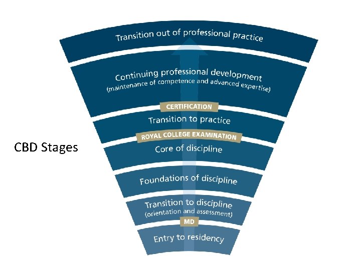 CBD Stages 