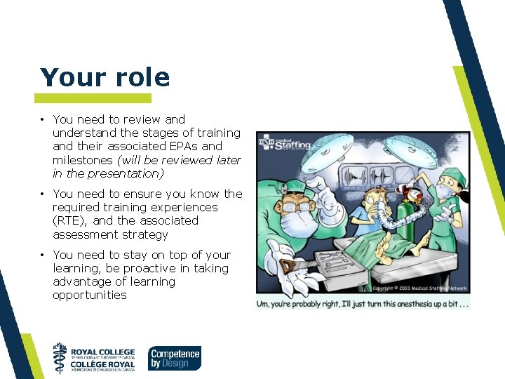 Your role • You need to review and understand the stages of training and