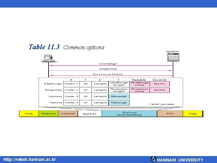 Table 11. 3 Common options Http: //netwk. hannam. ac. kr HANNAM UNIVERSITY 