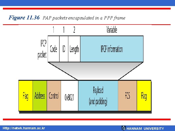 Figure 11. 36 PAP packets encapsulated in a PPP frame Http: //netwk. hannam. ac.