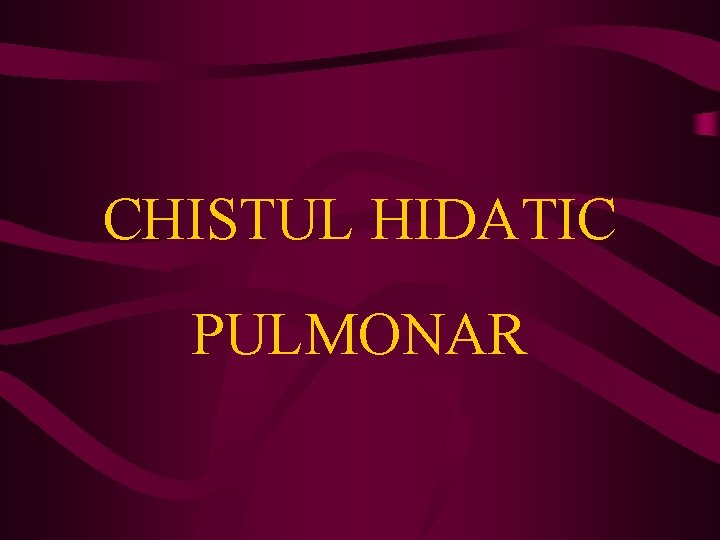 CHISTUL HIDATIC PULMONAR 