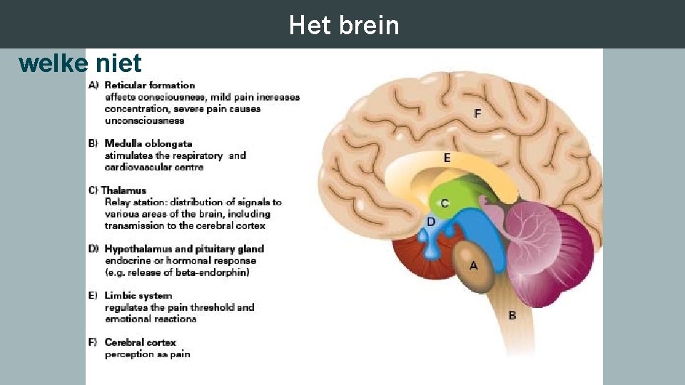 Het welke brein patiënten wel en Coeliacus blokkade- voor welke niet 