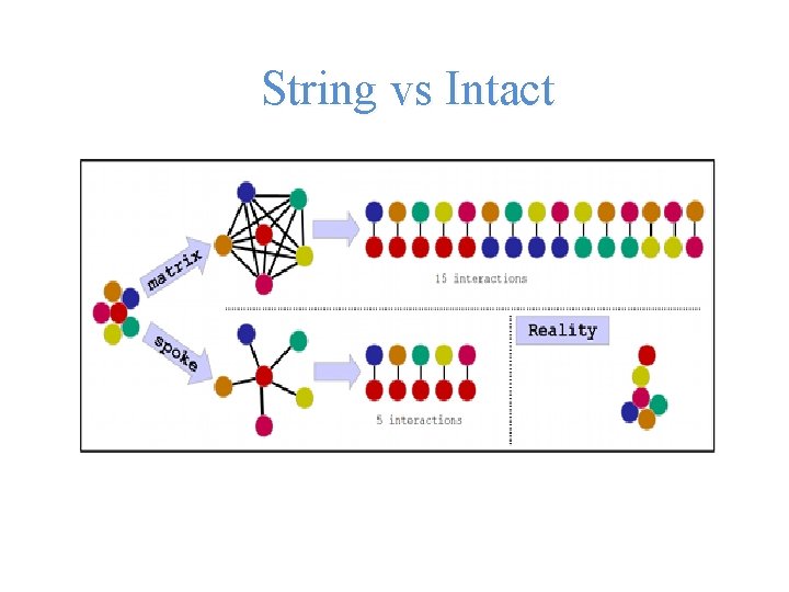 String Vs Intact Databse Networkbased approach for GO Term and pathway enrichment