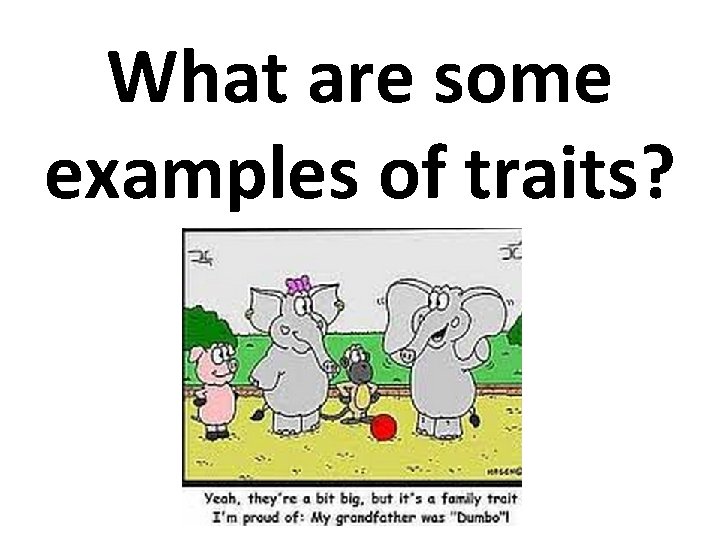 What are some examples of traits? What are some examples of traits?