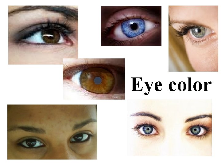 Eye color Eye color