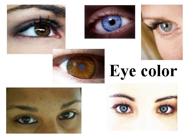 Eye color 