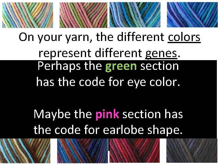 On your yarn, the different colors represent different genes. Perhaps the green section has