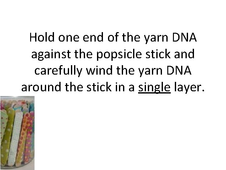 Hold one end of the yarn DNA against the popsicle stick and carefully wind Hold one end of the yarn DNA against the popsicle stick and carefully wind
