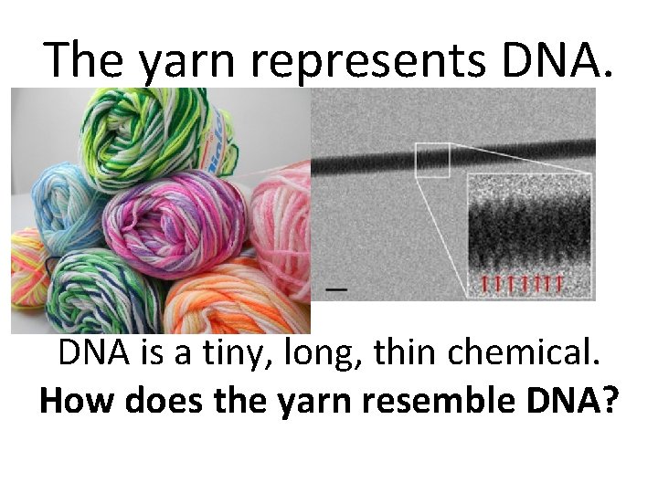 The yarn represents DNA is a tiny, long, thin chemical. How does the yarn The yarn represents DNA is a tiny, long, thin chemical. How does the yarn