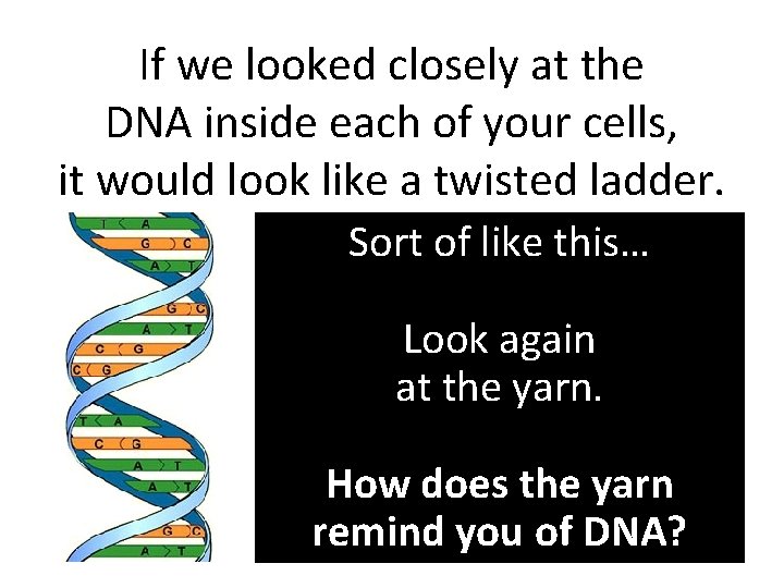If we looked closely at the DNA inside each of your cells, it would If we looked closely at the DNA inside each of your cells, it would