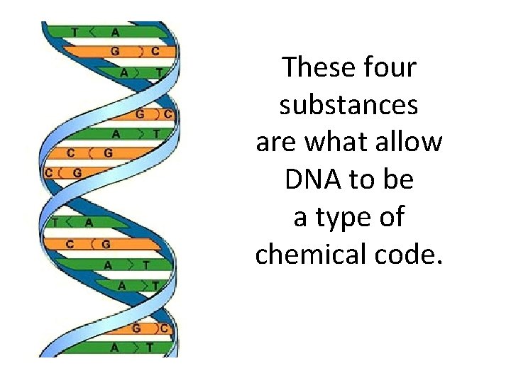 These four substances are what allow DNA to be a type of chemical code.