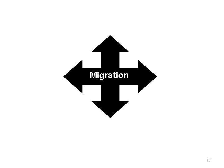 Migration 16 