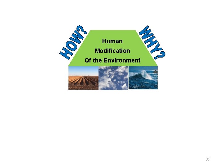 Human Modification Of the Environment 36 