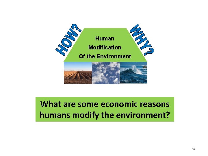 Human Modification Of the Environment What are some economic reasons humans modify the environment?