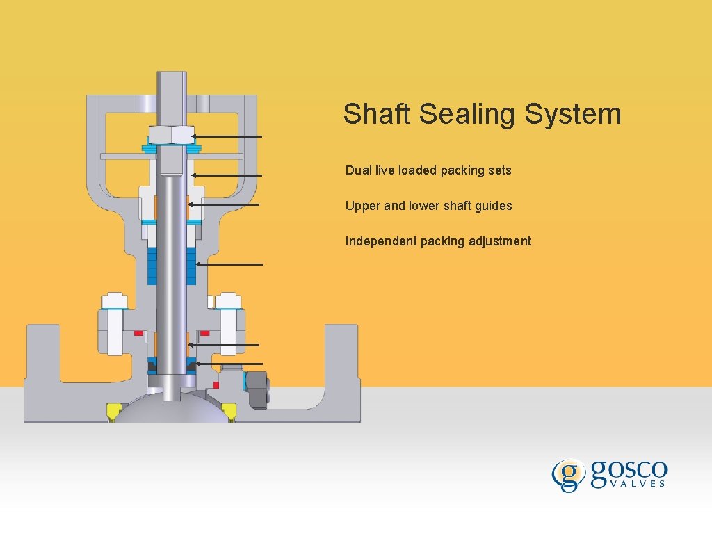 Shaft Sealing System Dual live loaded packing sets Upper and lower shaft guides Independent