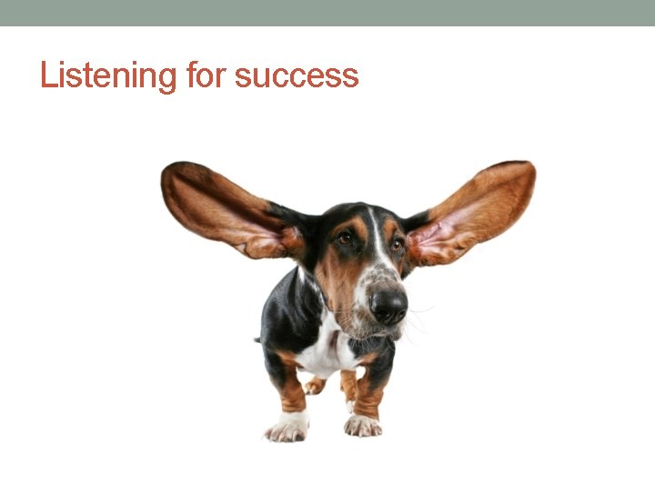 Listening for success 