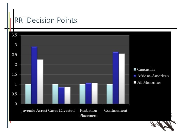 RRI Decision Points 