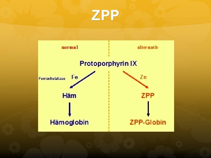 ZPP ZPP