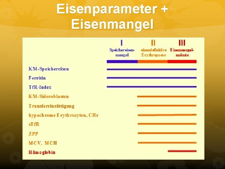 Eisenparameter + Eisenmangel Eisenparameter + Eisenmangel