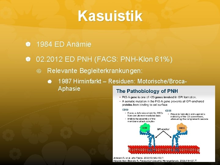 Kasuistik 1984 ED Anämie 02. 2012 ED PNH (FACS: PNH-Klon 61%) Relevante Begleiterkrankungen: 1987 Kasuistik 1984 ED Anämie 02. 2012 ED PNH (FACS: PNH-Klon 61%) Relevante Begleiterkrankungen: 1987