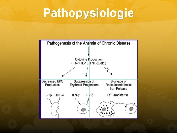 Pathopysiologie Pathopysiologie