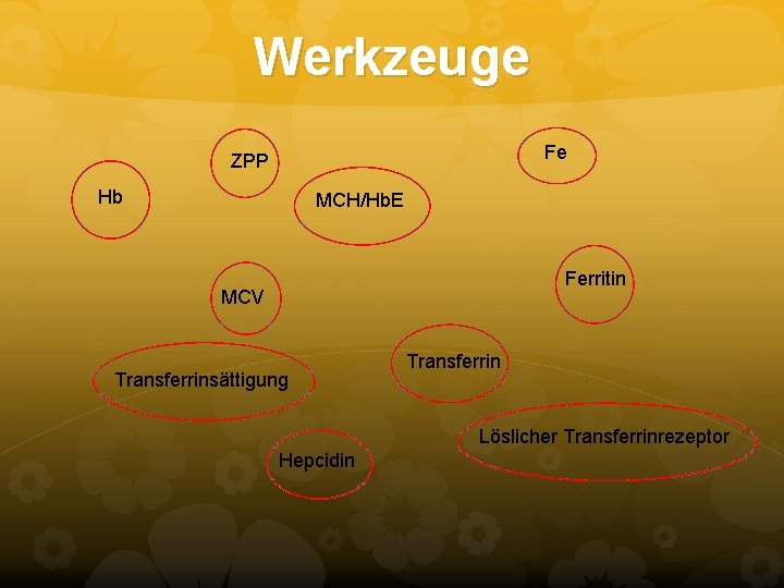 Werkzeuge Fe ZPP Hb MCH/Hb. E Ferritin MCV Transferrinsättigung Transferrin Löslicher Transferrinrezeptor Hepcidin Werkzeuge Fe ZPP Hb MCH/Hb. E Ferritin MCV Transferrinsättigung Transferrin Löslicher Transferrinrezeptor Hepcidin