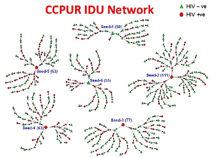 CCPUR IDU Network HIV – ve HIV +ve 