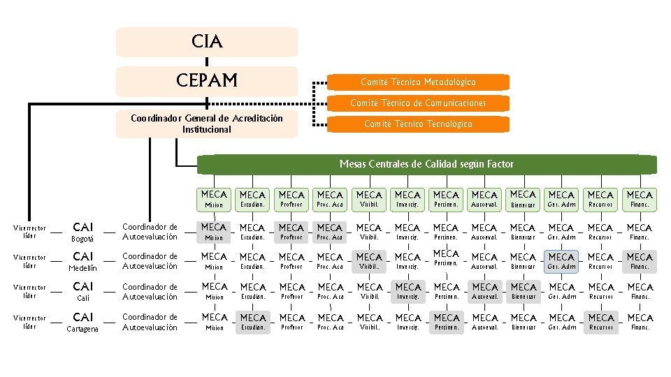 CIA CEPAM Comité Técnico Metodológico Comité Técnico de Comunicaciones Coordinador General de Acreditación Institucional