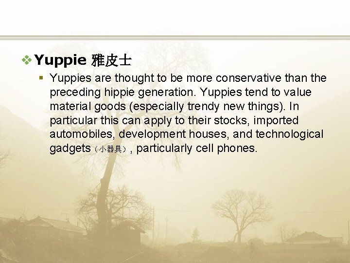 v Yuppie 雅皮士 § Yuppies are thought to be more conservative than the preceding