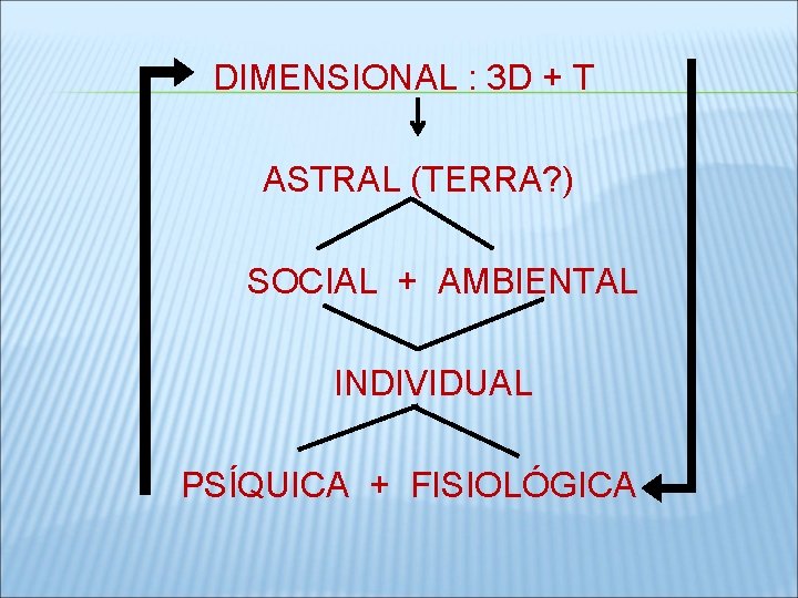  DIMENSIONAL : 3 D + T ASTRAL (TERRA? ) SOCIAL + AMBIENTAL INDIVIDUAL