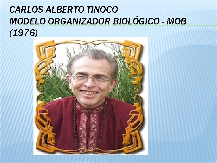 CARLOS ALBERTO TINOCO MODELO ORGANIZADOR BIOLÓGICO - MOB (1976) 