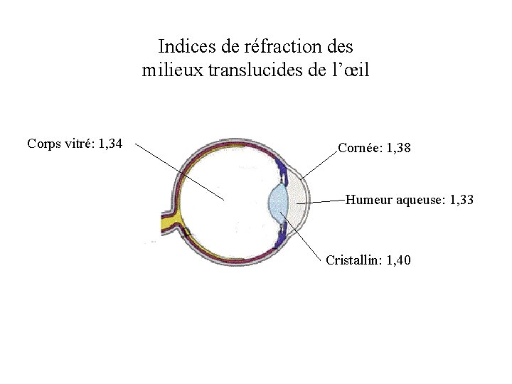 Indices de réfraction des milieux translucides de l’œil Corps vitré: 1, 34 Cornée: 1,