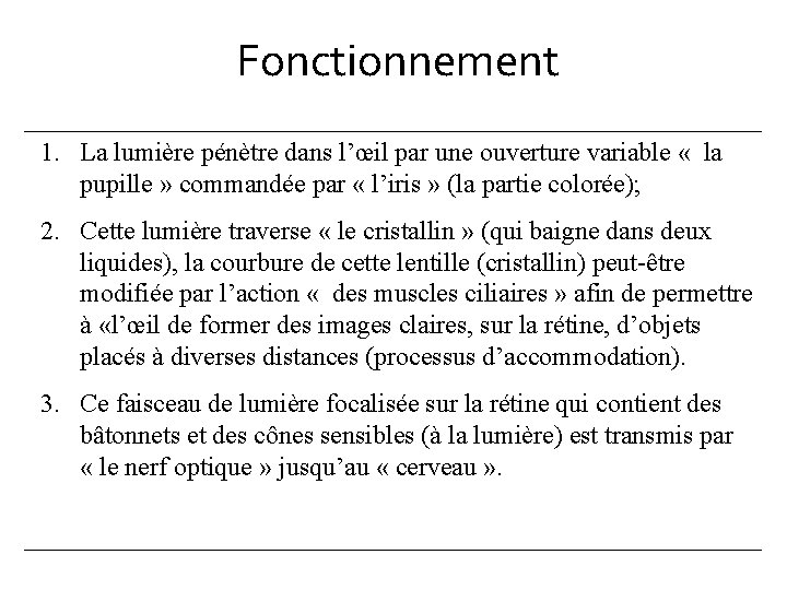 Fonctionnement 1. La lumière pénètre dans l’œil par une ouverture variable « la pupille