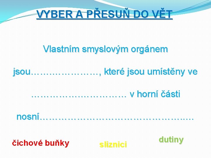 VYBER A PŘESUŇ DO VĚT Vlastním smyslovým orgánem jsou……. ……………, které jsou umístěny ve