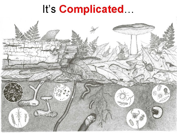 It’s Complicated… 