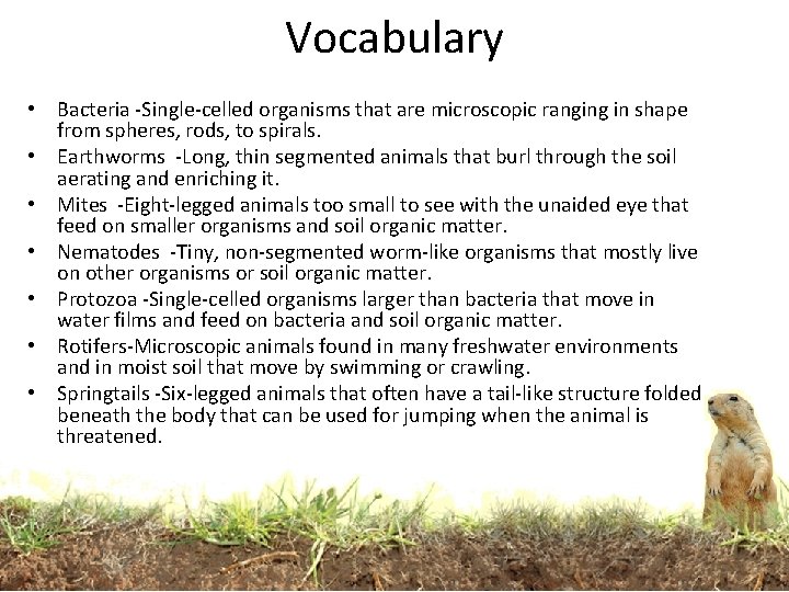 Vocabulary • Bacteria -Single-celled organisms that are microscopic ranging in shape from spheres, rods,