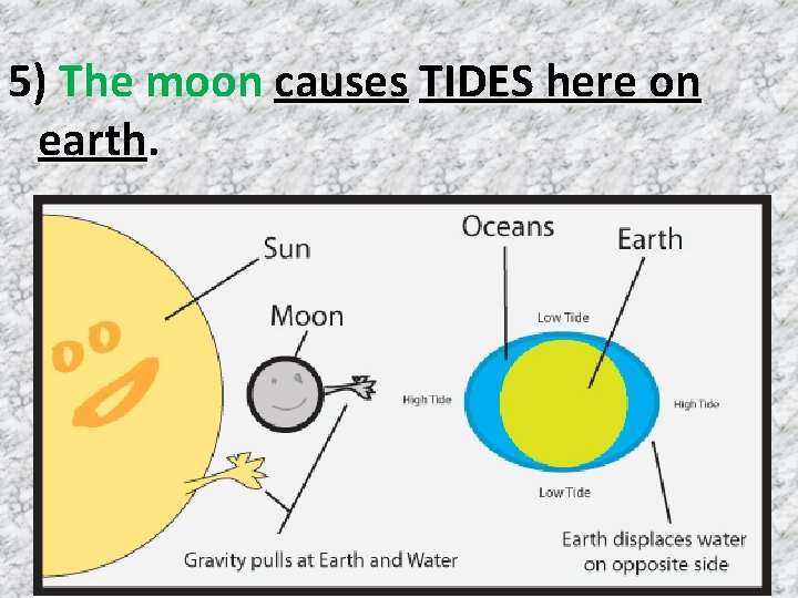 5) The moon causes TIDES here on earth. 