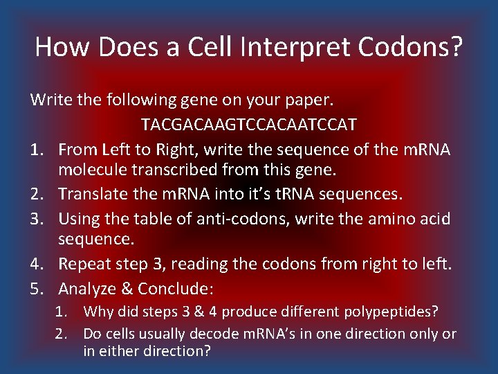 How Does a Cell Interpret Codons? Write the following gene on your paper. TACGACAAGTCCACAATCCAT