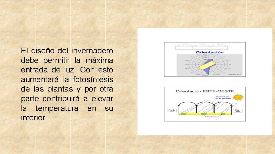 El diseño del invernadero debe permitir la máxima entrada de luz. Con esto aumentará