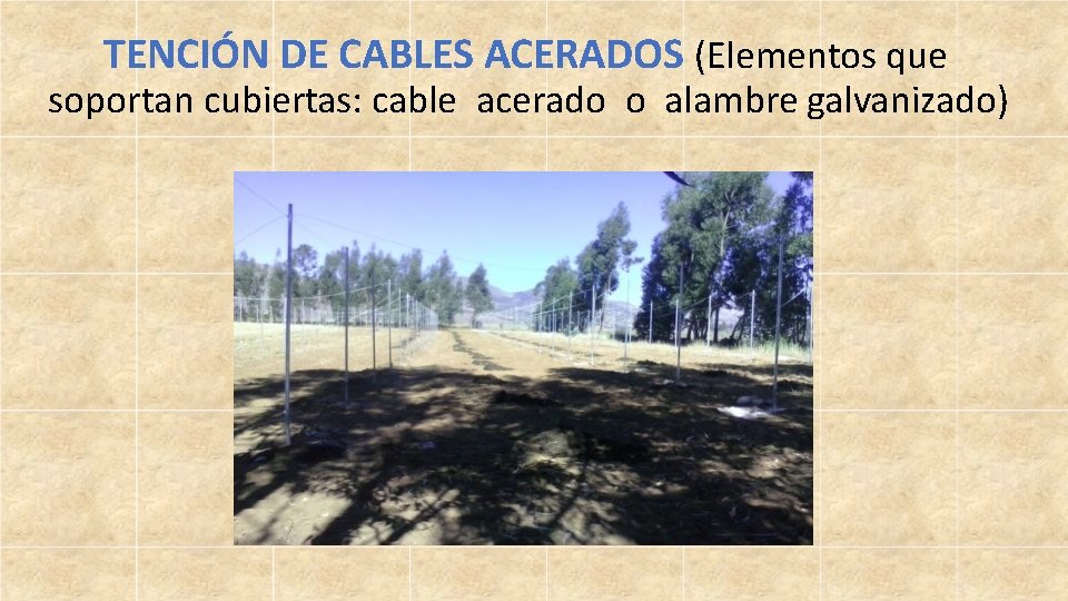 TENCIÓN DE CABLES ACERADOS (Elementos que soportan cubiertas: cable acerado o alambre galvanizado) 
