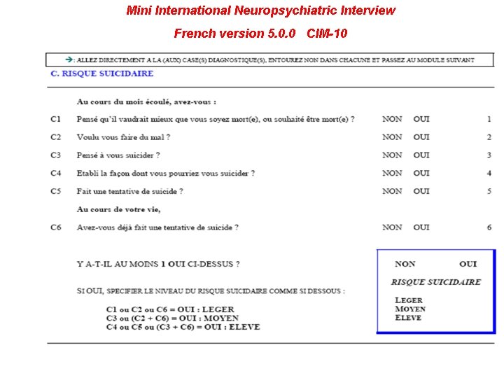 Mini International Neuropsychiatric Interview French version 5. 0. 0 CIM-10 