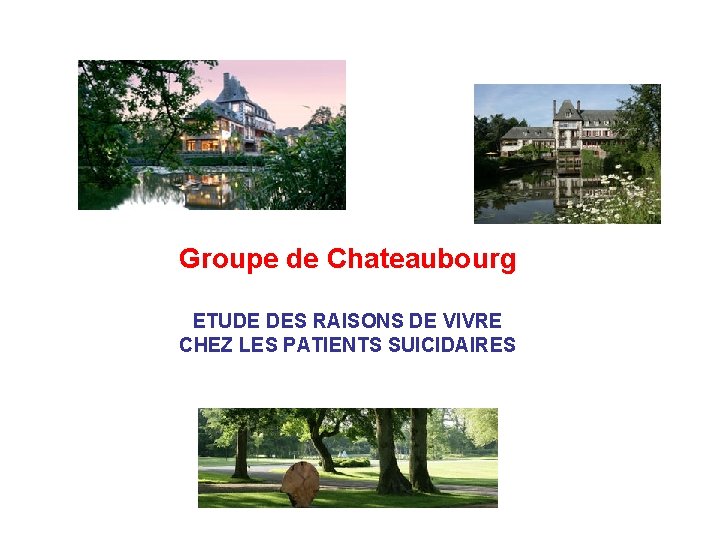 Groupe de Chateaubourg ETUDE DES RAISONS DE VIVRE CHEZ LES PATIENTS SUICIDAIRES 