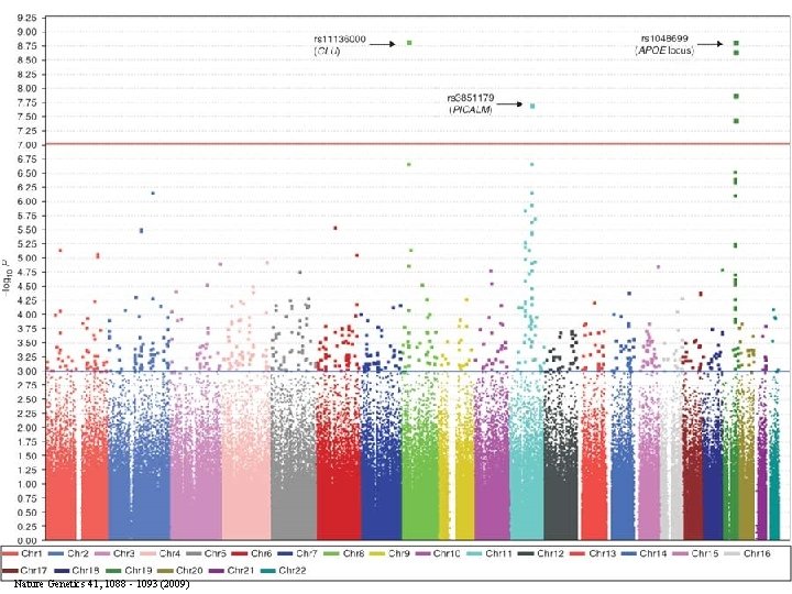 Nature Genetics 41, 1088 - 1093 (2009) Nature Genetics 41, 1088 - 1093 (2009)