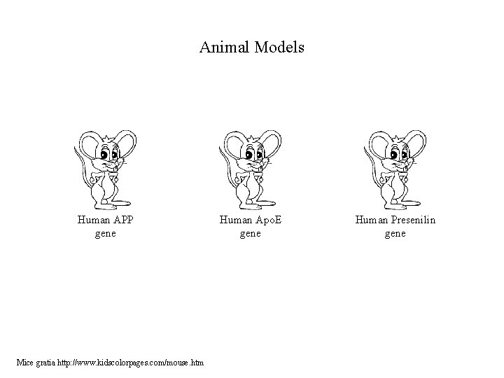 Animal Models Human APP gene Mice gratia http: //www. kidscolorpages. com/mouse. htm Human Apo. Animal Models Human APP gene Mice gratia http: //www. kidscolorpages. com/mouse. htm Human Apo.