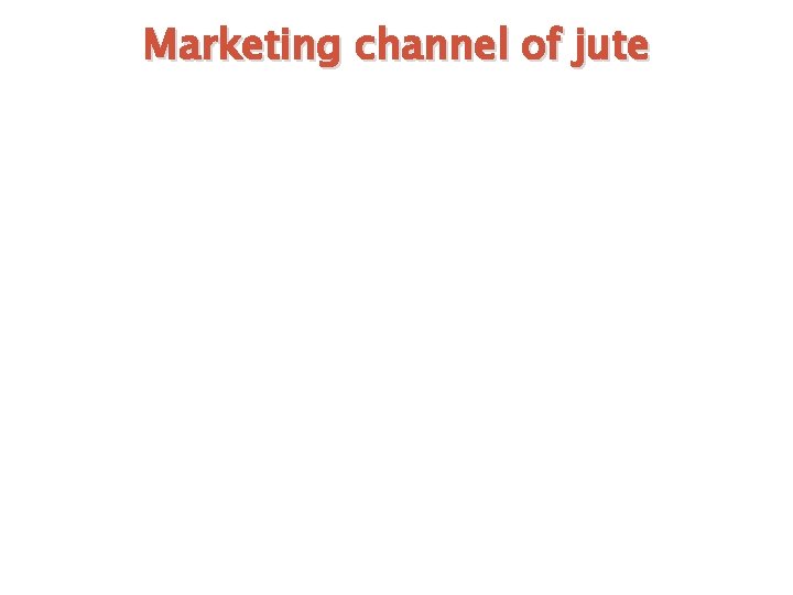 Marketing channel of jute 