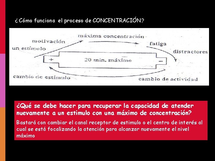 ¿ Cómo funciona el proceso de CONCENTRACIÓN? ¿Qué se debe hacer para recuperar la