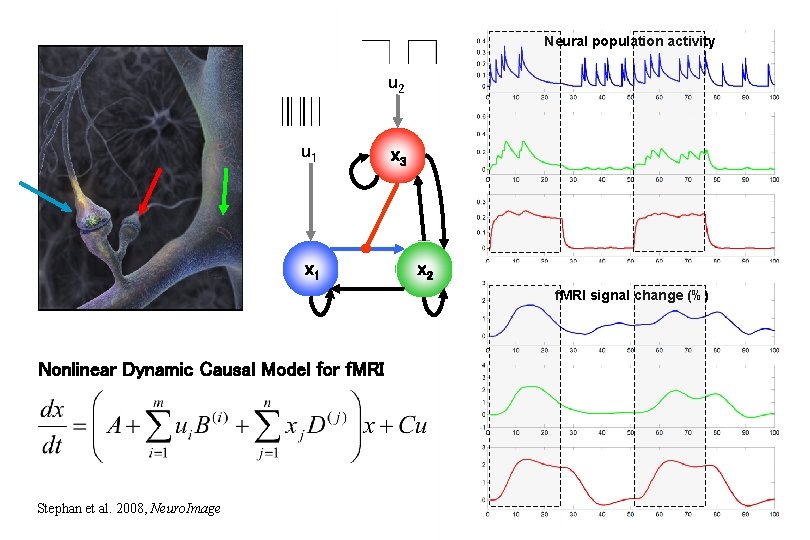 Neural population activity u 2 u 1 x 3 x 2 f. MRI signal