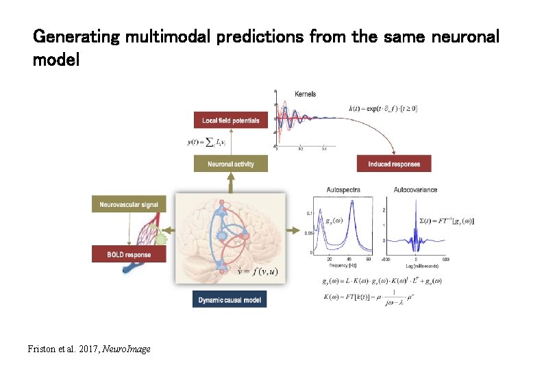 Generating multimodal predictions from the same neuronal model Friston et al. 2017, Neuro. Image