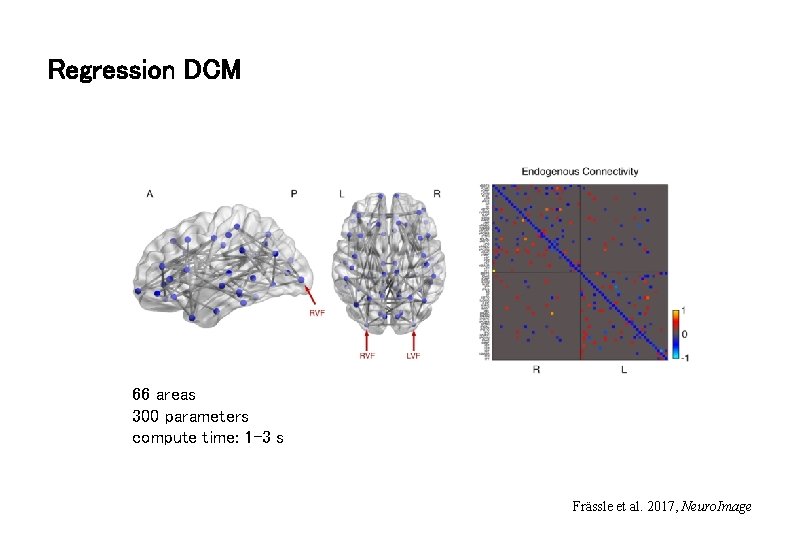 Regression DCM 66 areas 300 parameters compute time: 1 -3 s Frässle et al.