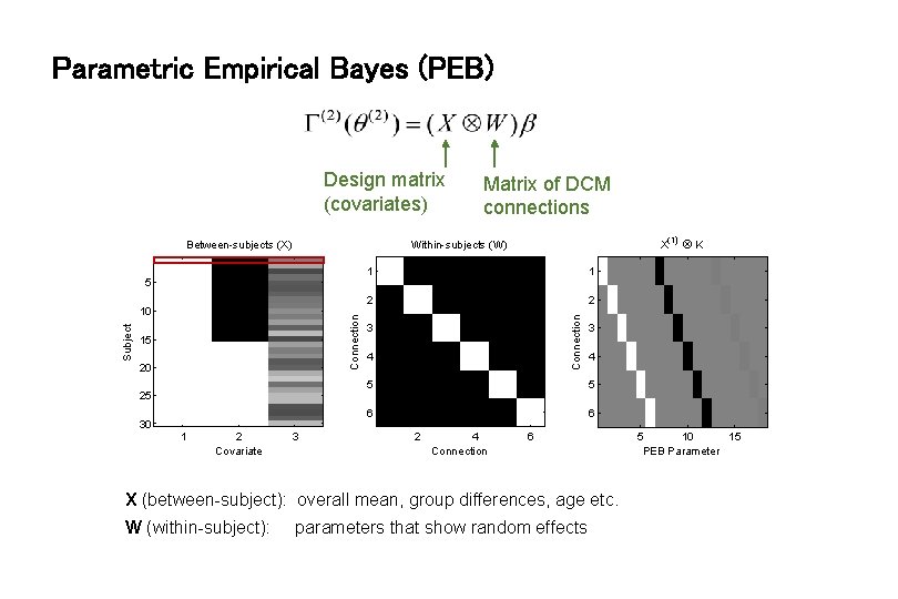 Parametric Empirical Bayes (PEB) Design matrix (covariates) Between-subjects (X) 15 20 25 30 3